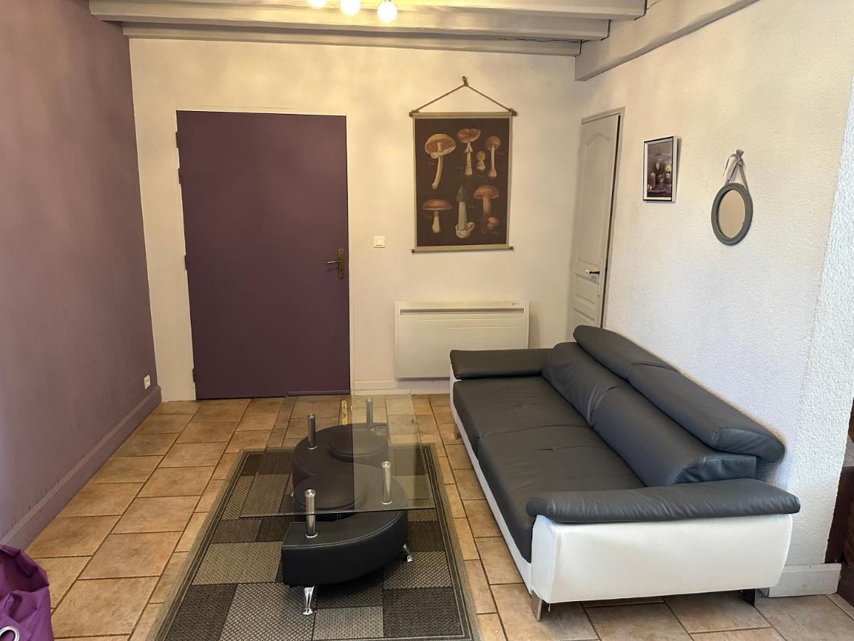 Chambres D'Hotes Du Puy D'Anche Sauzé-Vaussais Kültér fotó